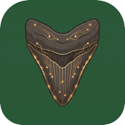 MatrixSnap icon